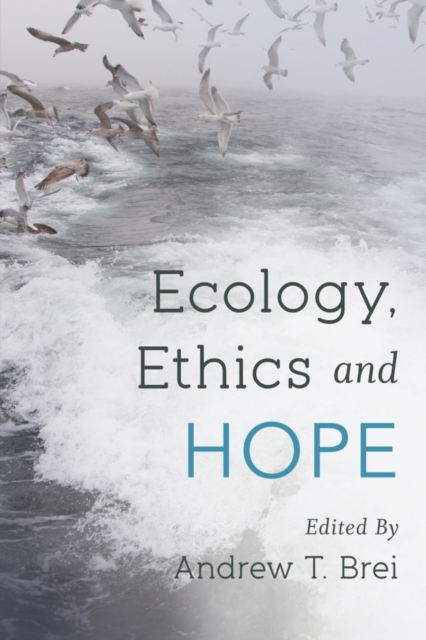 Ecology, Ethics and Hope, Paperback / softback Book