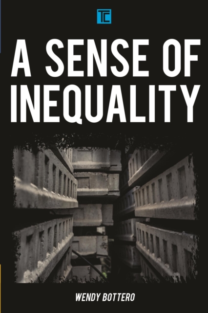 Sense of Inequality, EPUB eBook