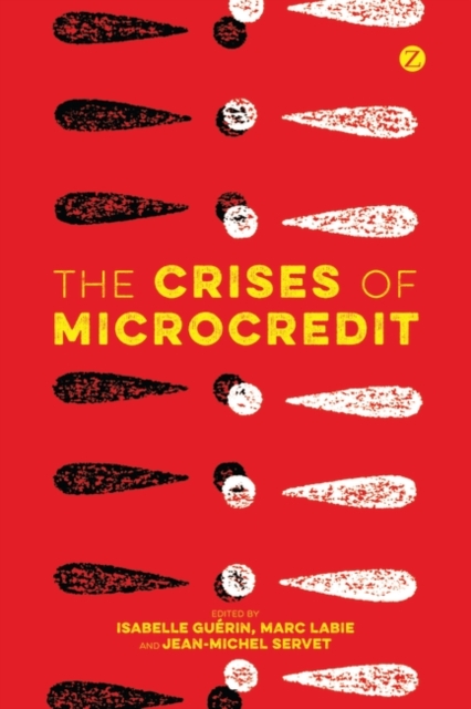 The Crises of Microcredit, PDF eBook