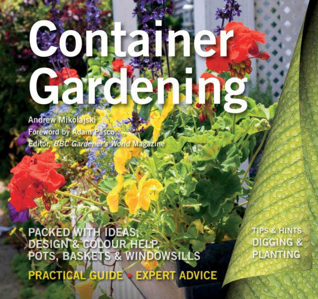 Container Gardening : Ideas, Design & Colour Help, Paperback / softback Book
