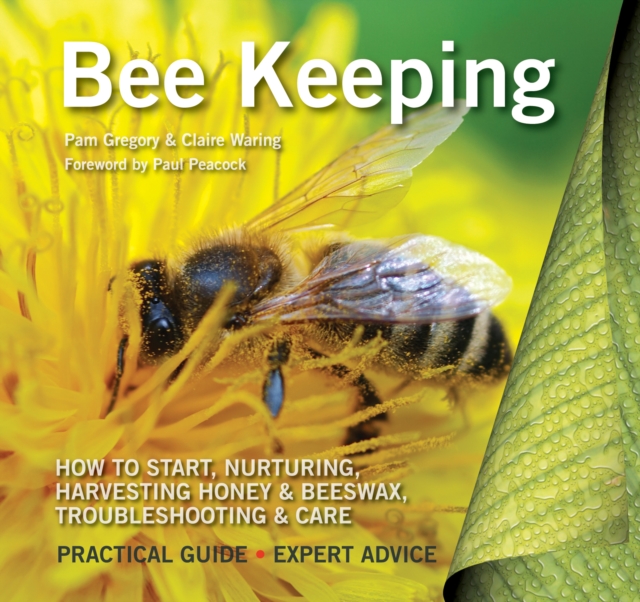 Bee Keeping, Paperback Book