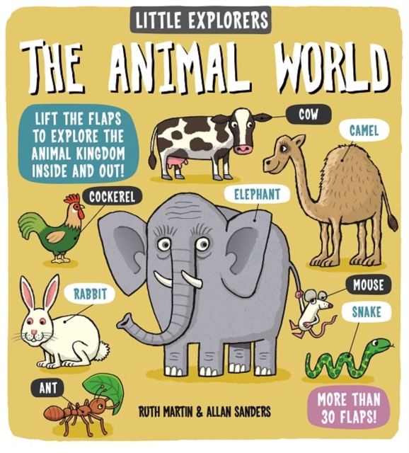Little Explorers: The Animal World, Hardback Book