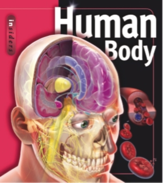 Insiders - Human Body, Paperback / softback Book