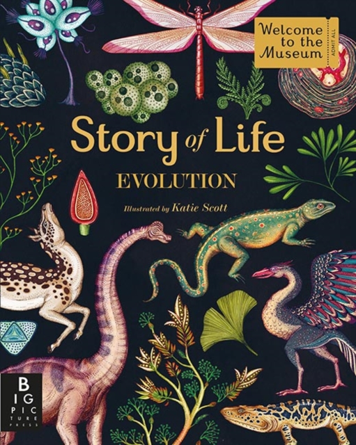 Story of Life: Evolution, Hardback Book