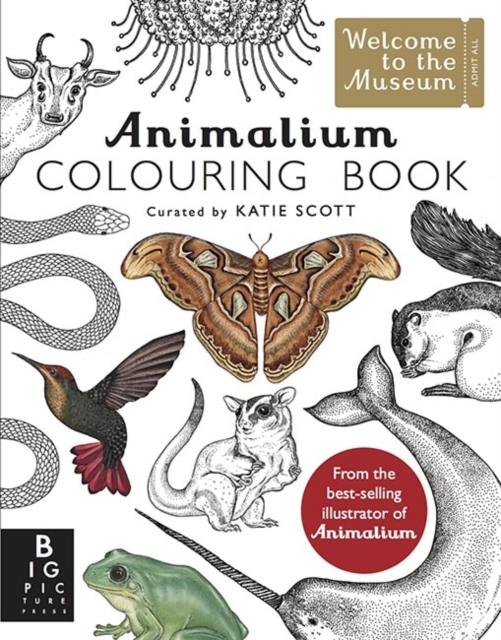 Animalium Colouring Book, Paperback / softback Book