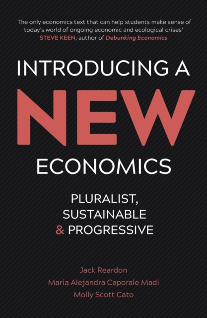 Introducing a New Economics : Pluralist, Sustainable and Progressive, PDF eBook