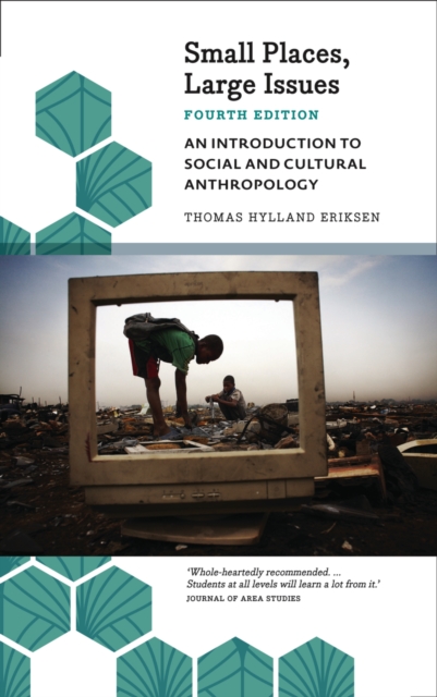 Small Places, Large Issues : An Introduction to Social and Cultural Anthropology, EPUB eBook