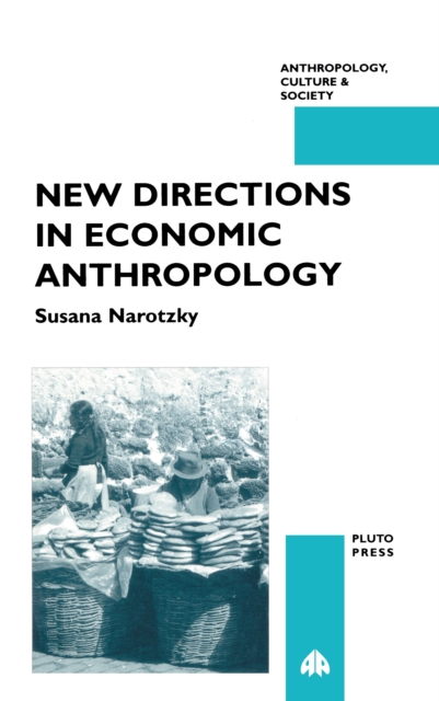 New Directions in Economic Anthropology, EPUB eBook
