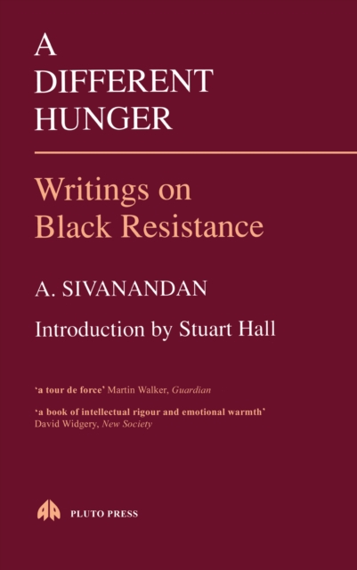A Different Hunger : Writings on Black Resistance, PDF eBook