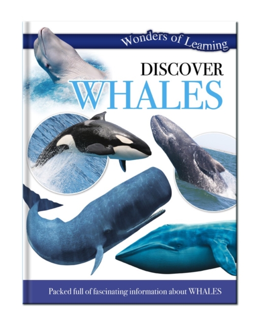 Discover Whales, Hardback Book