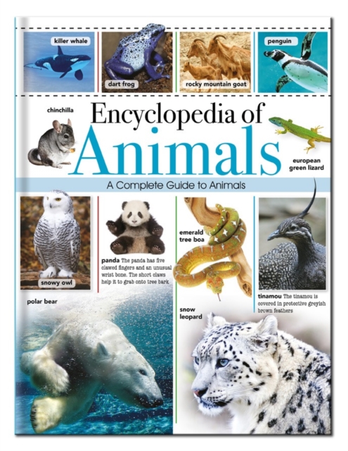 Encyclopedia of Animals, Hardback Book