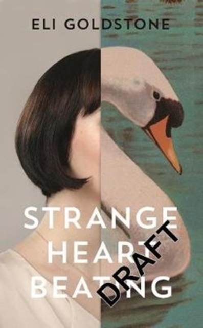 Strange Heart Beating, Paperback / softback Book