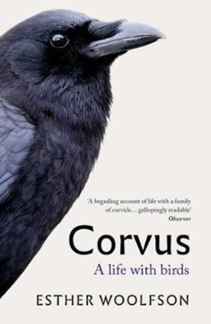 Corvus : A Life With Birds, Paperback / softback Book