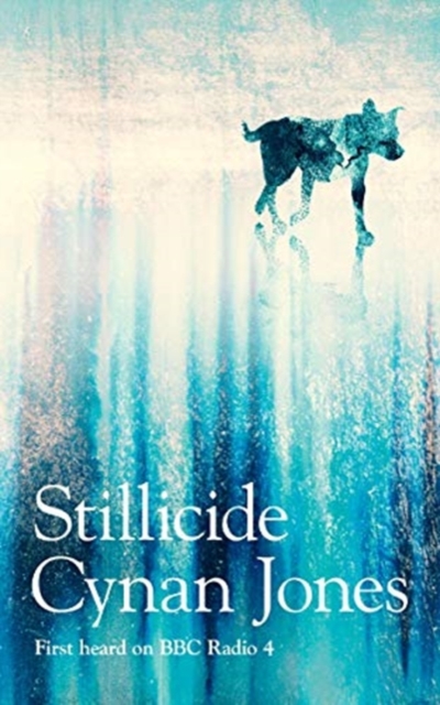 Stillicide, Hardback Book
