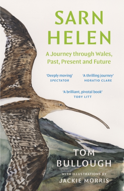 Sarn Helen : A Journey Through Wales, Past, Present and Future, EPUB eBook