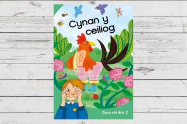 Dyna Chi Dric: Cynan y Ceiliog, Paperback / softback Book