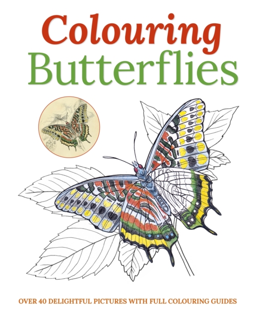 Colouring Butterflies, Paperback Book