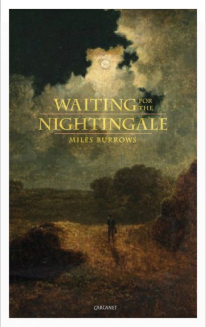Waiting for the Nightingale, Paperback / softback Book