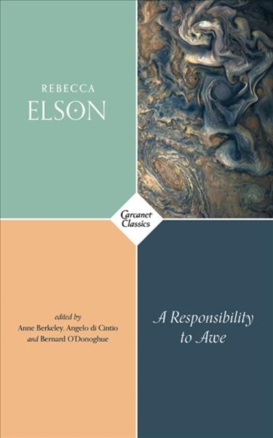 A Responsibility to Awe, Paperback / softback Book