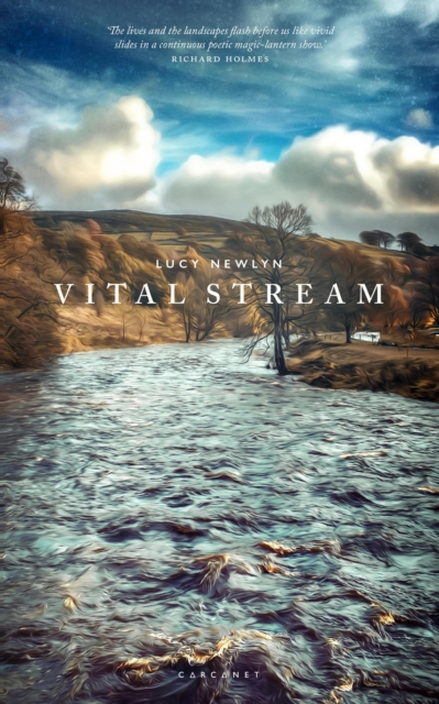Vital Stream, EPUB eBook