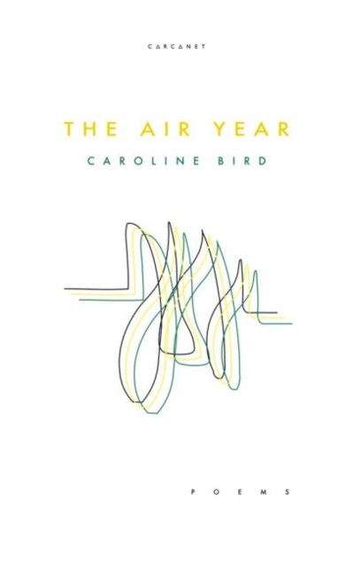 The Air Year, Paperback / softback Book
