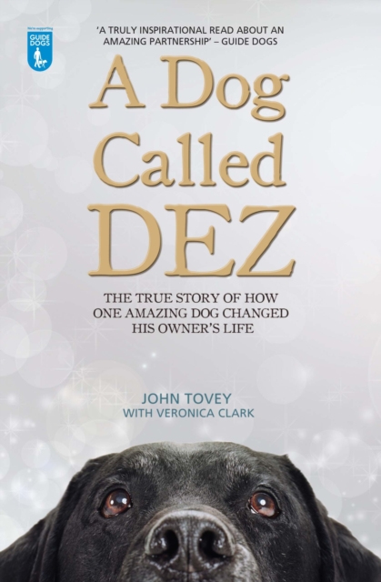 A Dog Called Dez : The true story of how one amazing dog changed his owner's life, Paperback / softback Book