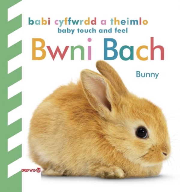 Babi Cyffwrdd a Theimlo: Bwni Bach / Baby Touch and Feel: Bunny, Hardback Book