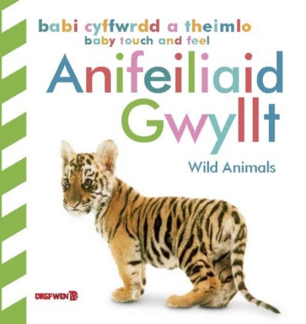 Babi Cyffwrdd a Theimlo: Anifeiliaid Gwyllt / Baby Touch and Feel: Wild Animals : Wild Animals, Hardback Book
