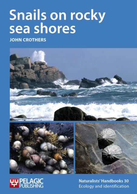 Snails on rocky sea shores, PDF eBook
