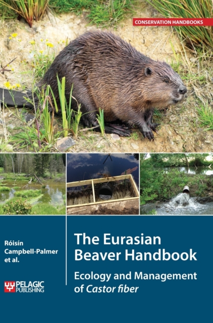 The Eurasian Beaver Handbook : Ecology and Management of Castor Fiber, Hardback Book