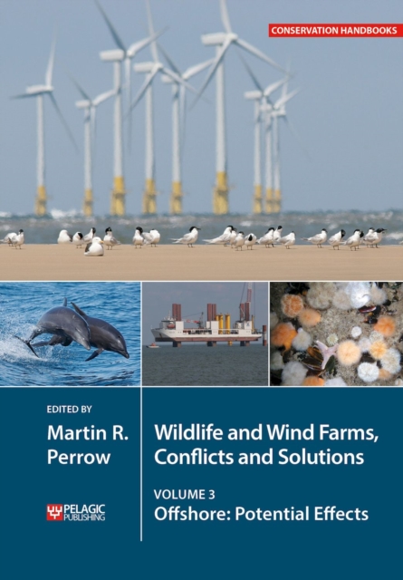 Wildlife and Wind Farms - Conflicts and Solutions : Offshore: Potential Effects, Paperback / softback Book