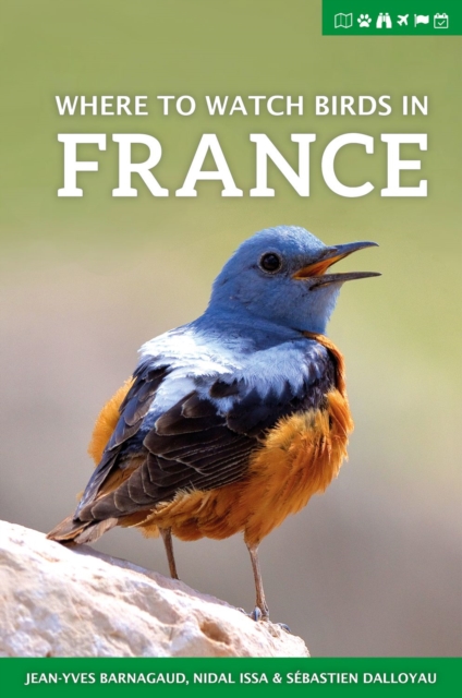 Where to Watch Birds in France, Paperback / softback Book