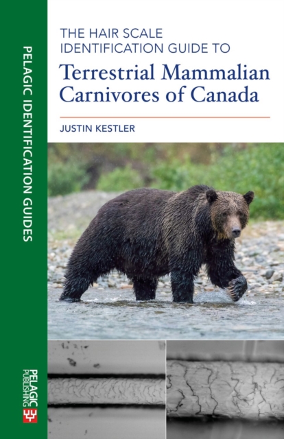 The Hair Scale Identification Guide to Terrestrial Mammalian Carnivores of Canada, Paperback / softback Book