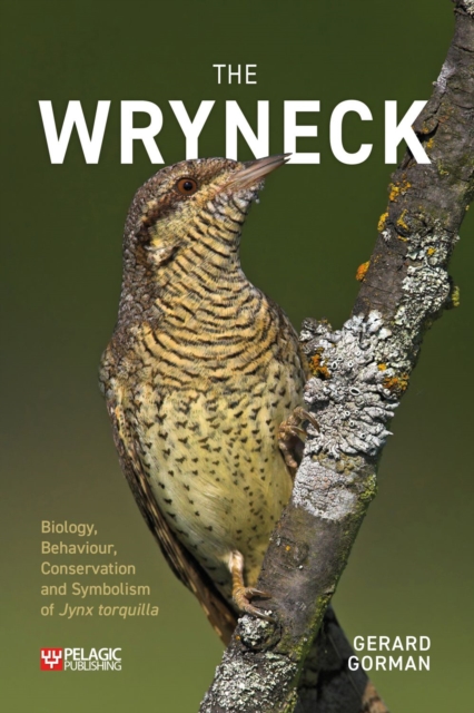 The Wryneck : Biology, Behaviour, Conservation and Symbolism of Jynx torquilla, Paperback / softback Book