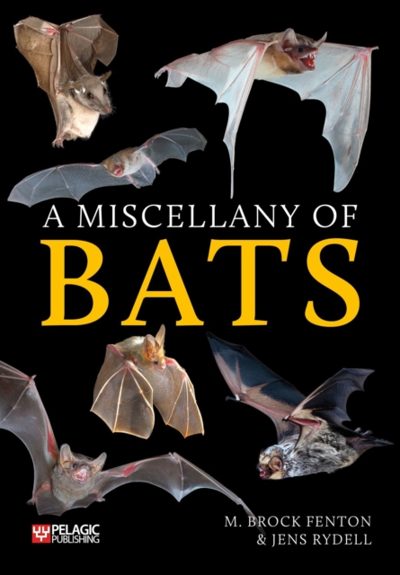 A Miscellany of Bats, Paperback / softback Book