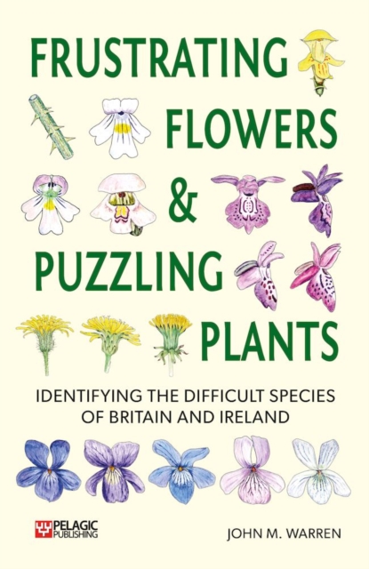 Frustrating Flowers and Puzzling Plants : Identifying the difficult species of Britain and Ireland, Paperback / softback Book