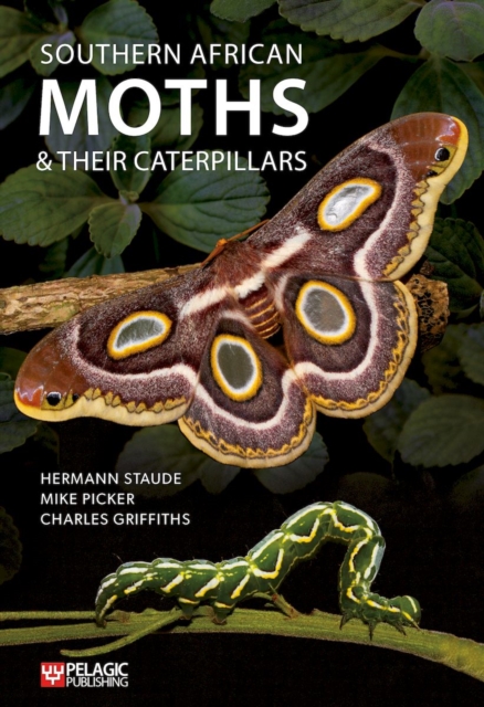 Southern African Moths and Their Caterpillars, Paperback / softback Book