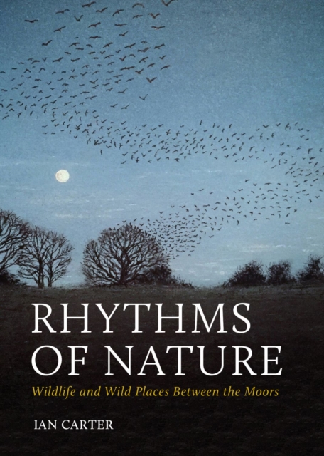 Rhythms of Nature : Wildlife and Wild Places Between the Moors, EPUB eBook