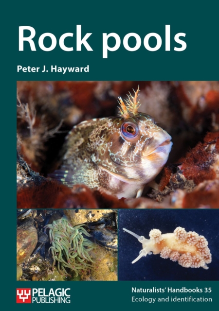Rock pools, PDF eBook