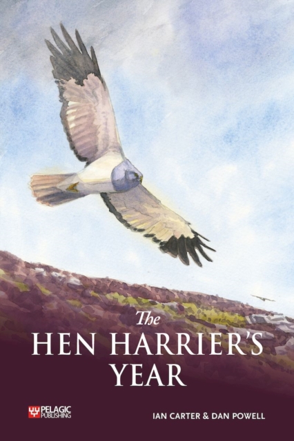 The Hen Harrier's Year, Paperback / softback Book