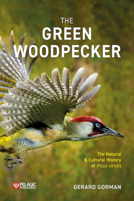 The Green Woodpecker : The Natural and Cultural History of Picus viridis, Paperback / softback Book