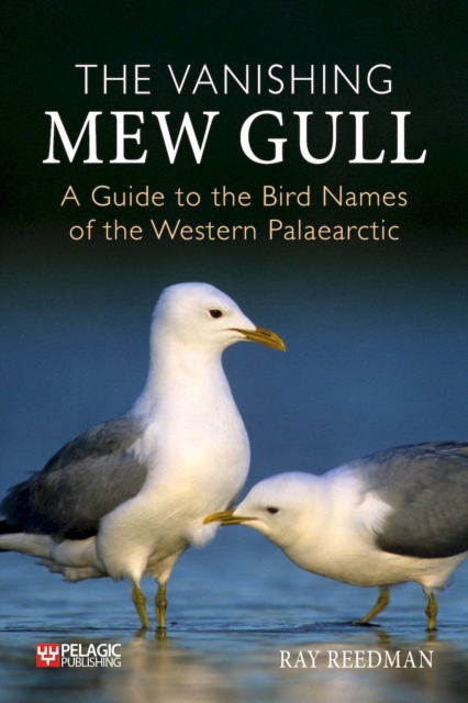 The Vanishing Mew Gull : A Guide to the Bird Names of the Western Palaearctic, Hardback Book