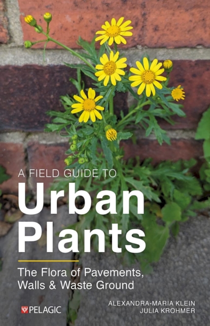 A Field Guide to Urban Plants : The Flora of Pavements, Walls and Waste Ground, Paperback / softback Book
