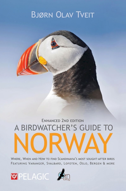 A Birdwatcher’s Guide to Norway : Where, when and how to find Scandinavia’s most sought-after birds, Paperback / softback Book
