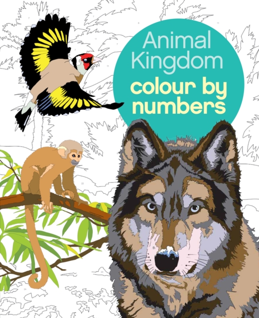 Animal Kingdom Colour by Numbers, Paperback / softback Book