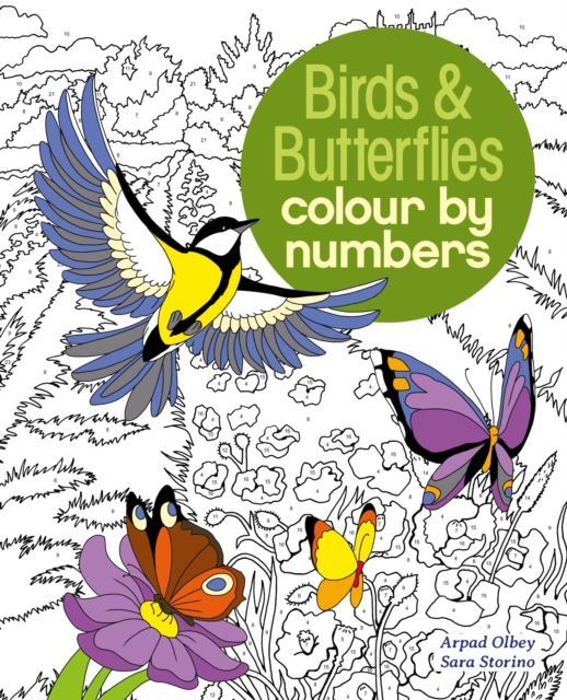 Birds & Butterflies Colour by Numbers, Paperback / softback Book