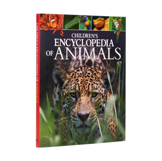Children's Encyclopedia of Animals : Take a Walk on the Wild Side!, Hardback Book