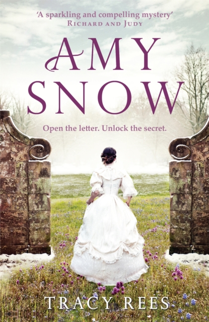 Amy Snow, Paperback / softback Book