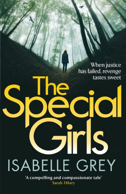 The Special Girls : A devastating crime thriller with a heart-wrenching twist, Paperback / softback Book