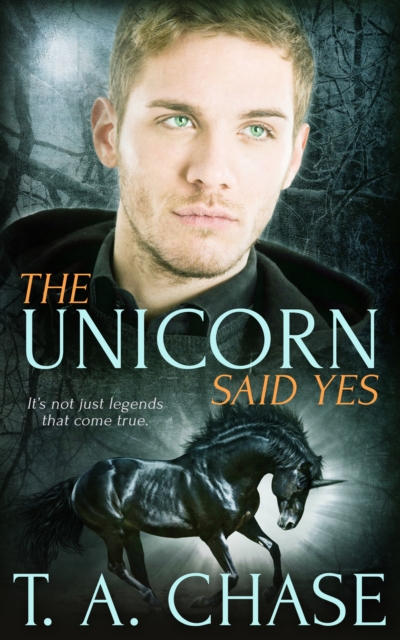 The Unicorn Said Yes, EPUB eBook